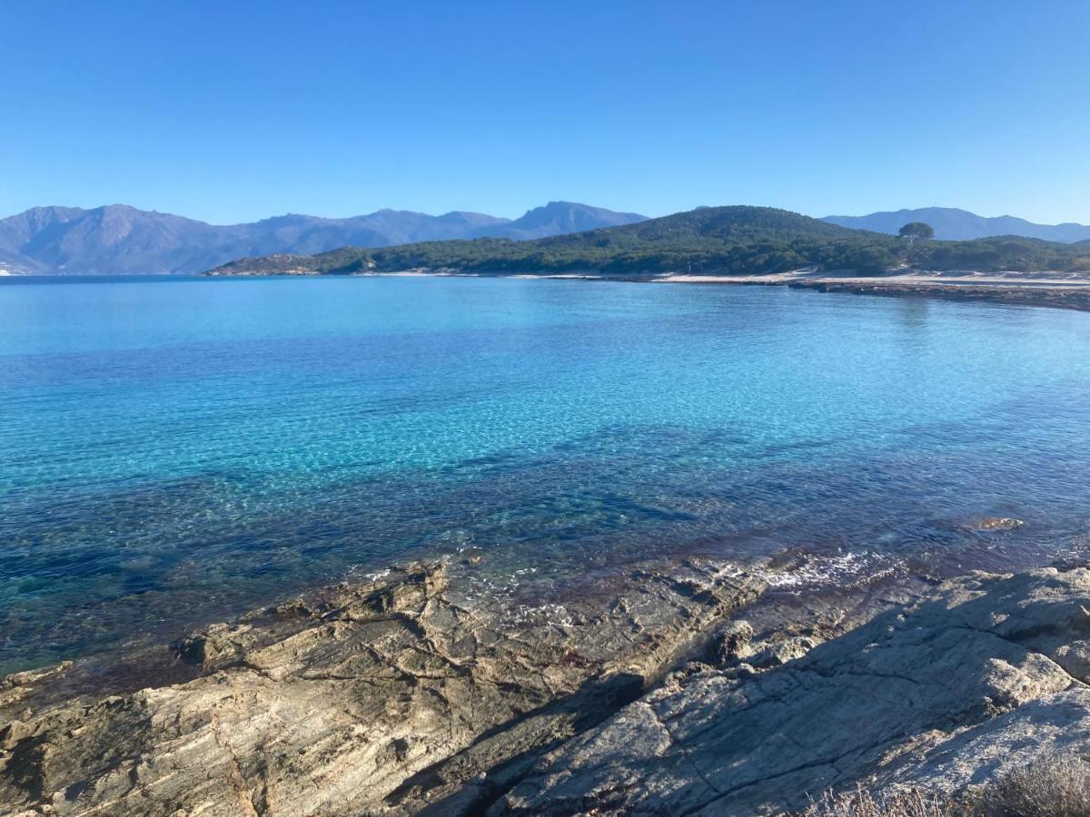 Domaine A Mortella Saint-Florent  Kültér fotó